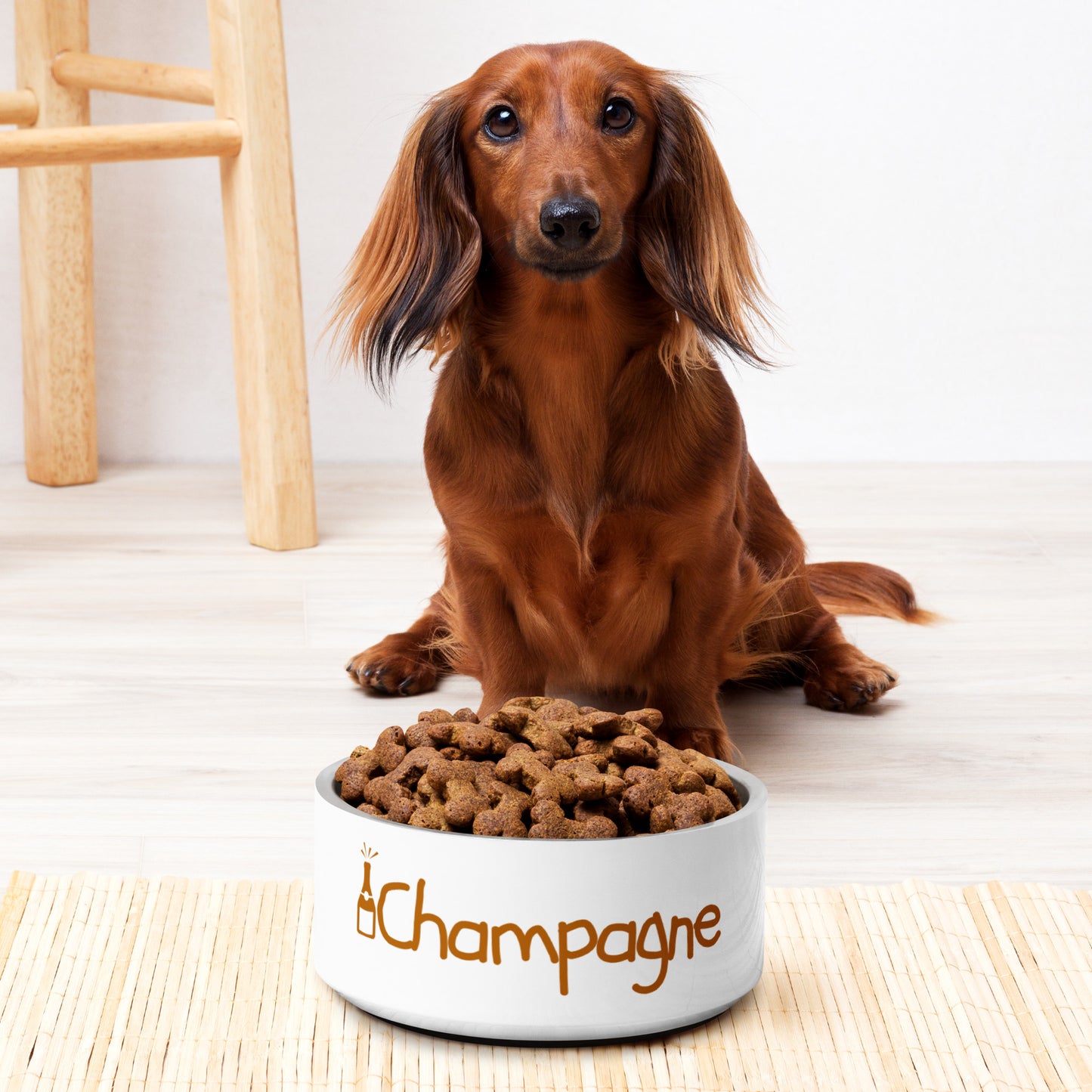 Champagne Pet bowl