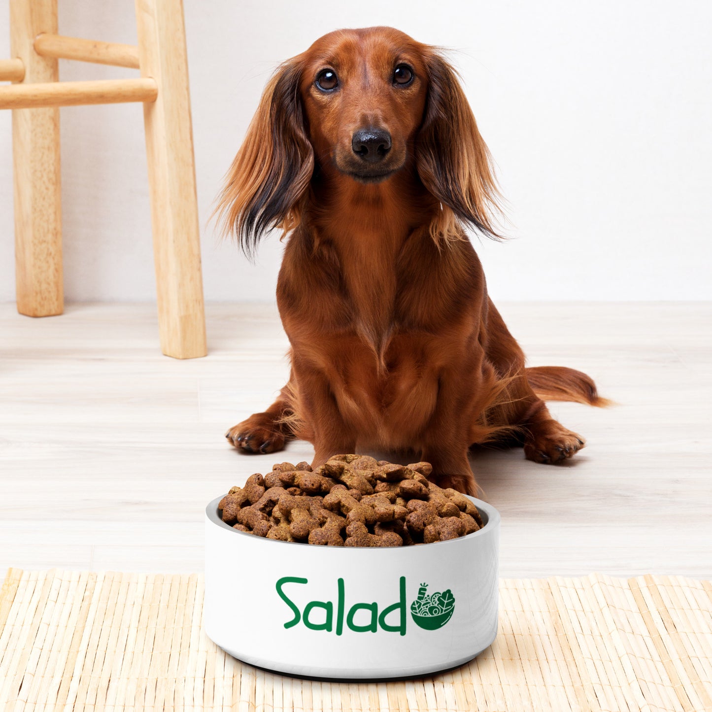 Salad Pet bowl