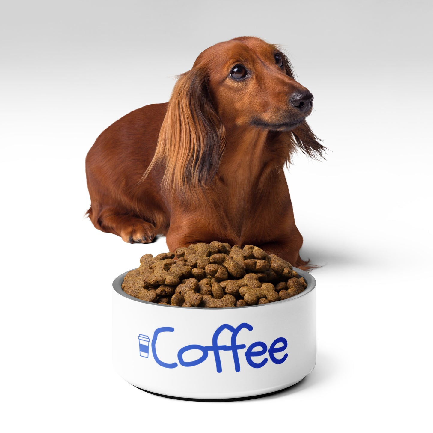 Coffee Pet Bowl | Funny Pet Bowl with Original Art | Red and White Holiday Pet Bowl for Dog or Cat | Stainless Steel | 18 oz and 32 oz