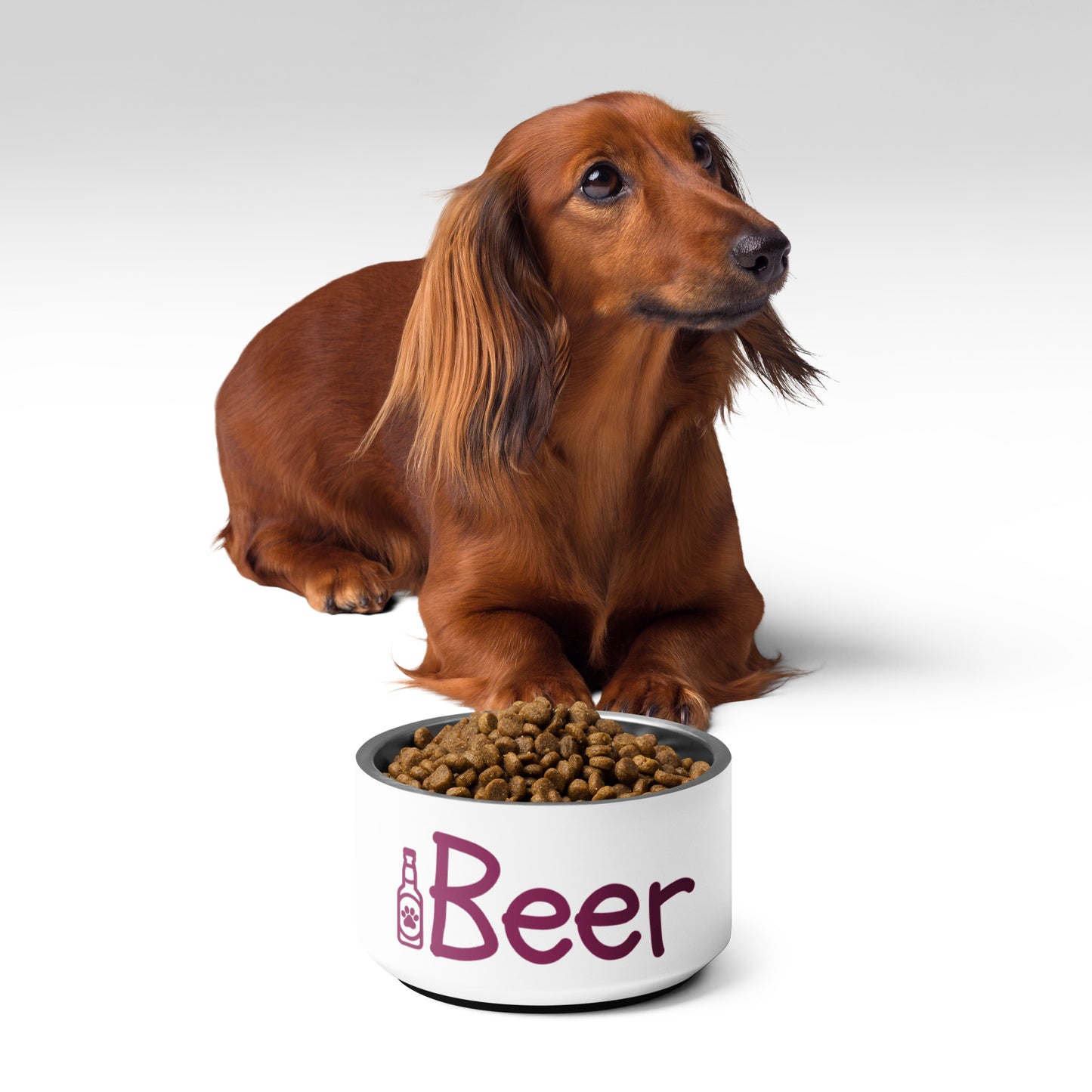 Beer Pet bowl