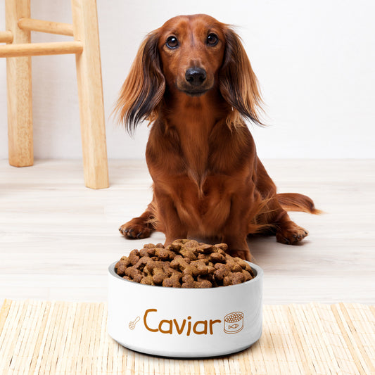 Caviar Pet bowl