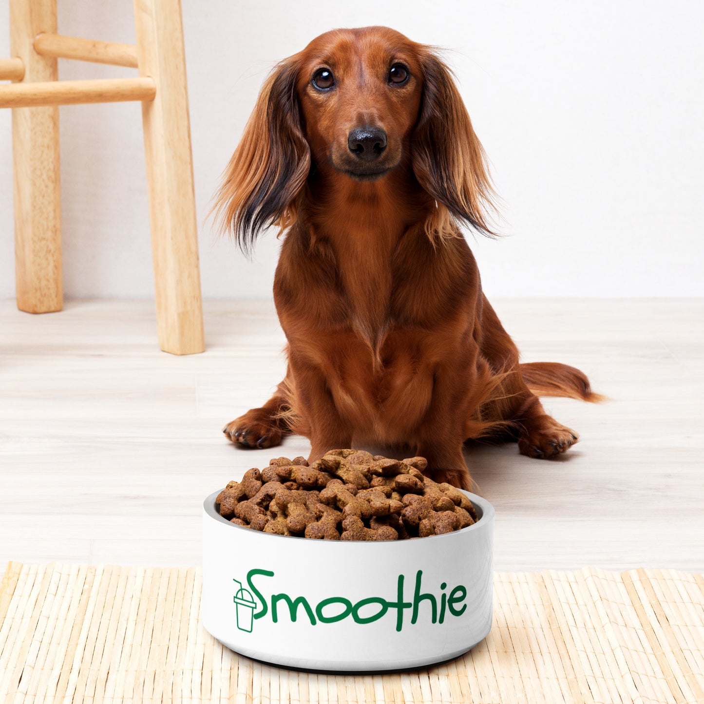 Smoothie Pet bowl