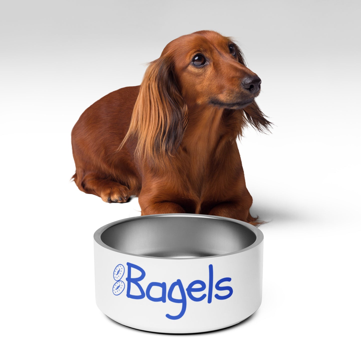 Bagels Pet Bowl | Funny Dog or Cat Bowl with Original Art | 18 oz and 32 oz