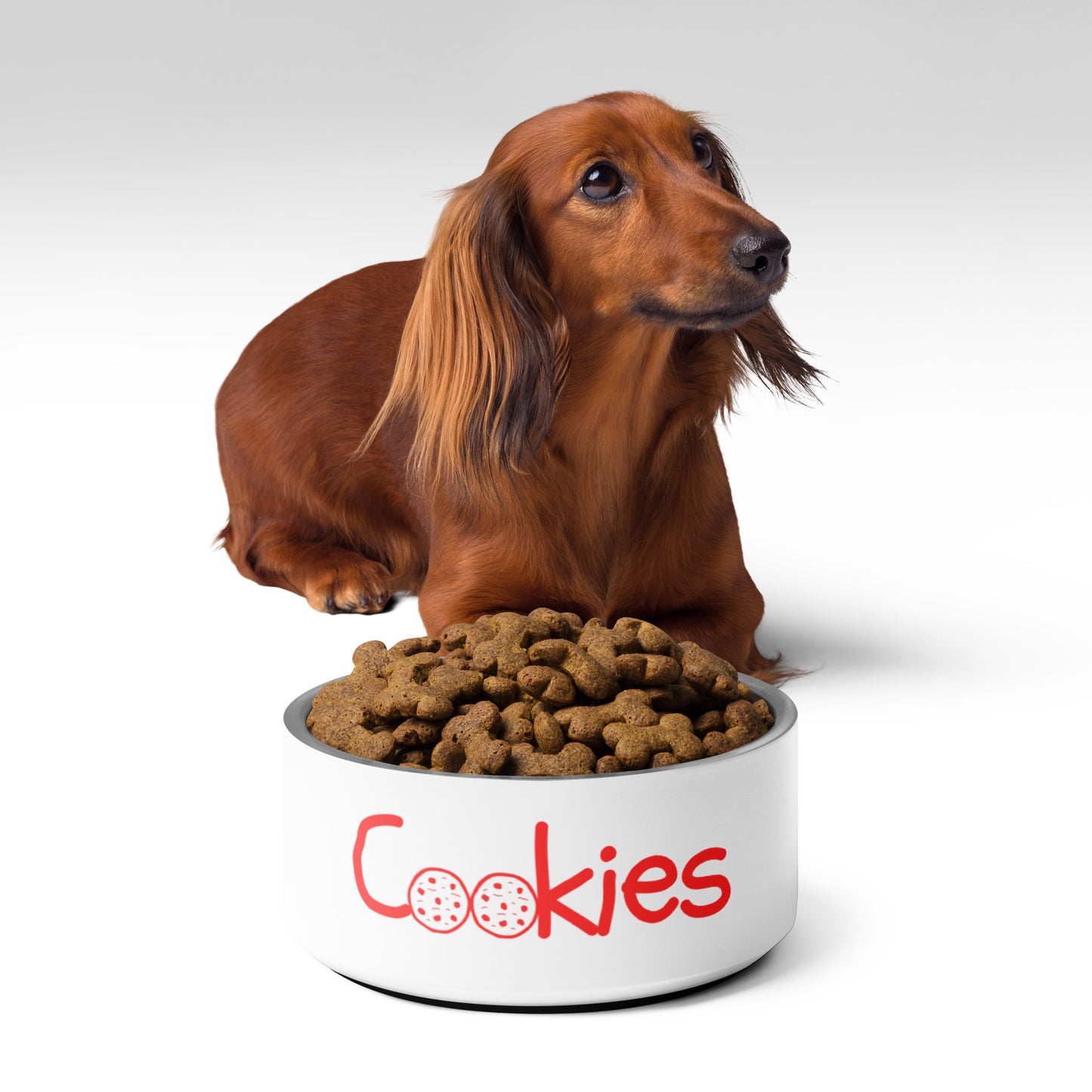 Cookies Pet Bowl | Funny Pet Bowl with Original Art | Red and White Holiday Pet Bowl for Dog or Cat | Stainless Steel | 18 oz and 32 oz